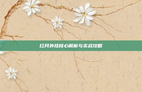红月外挂核心解析与实战攻略
