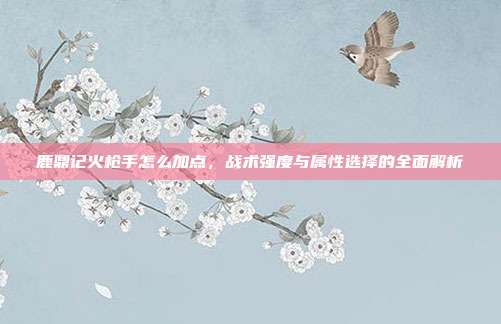 鹿鼎记火枪手怎么加点,战术强度与属性选择的全面解析