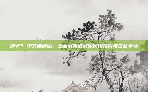 种子3 中文破解版，全面解析破解版使用指南与注意事项