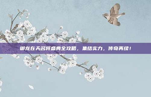 御龙在天名将盛典全攻略,集结实力,传奇再续!