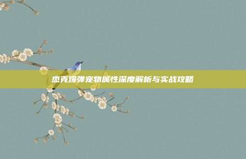 杰克爆弹宠物属性深度解析与实战攻略