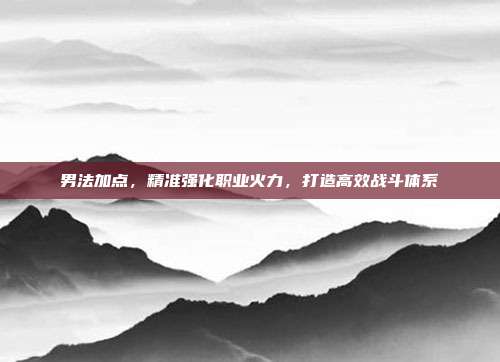 男法加点,精准强化职业火力,打造高效战斗体系