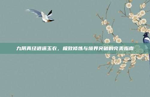九阴真经逍遥玉衣，极致修炼与境界突破的完美指南