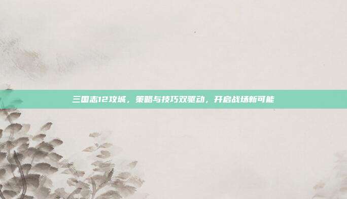 三国志12攻城，策略与技巧双驱动，开启战场新可能