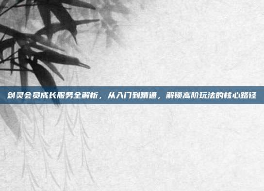 剑灵会员成长服务全解析,从入门到精通,解锁高阶玩法的核心路径