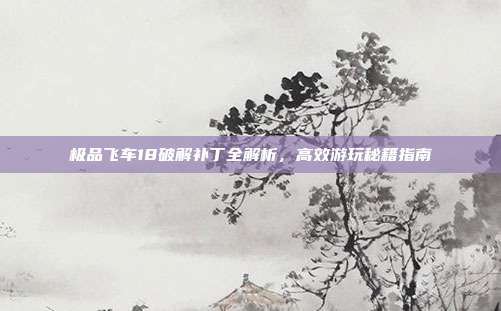 极品飞车18破解补丁全解析,高效游玩秘籍指南