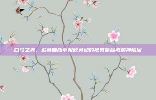 白鸟之翼,追寻自然中极致灵动的视觉旅程与精神栖居