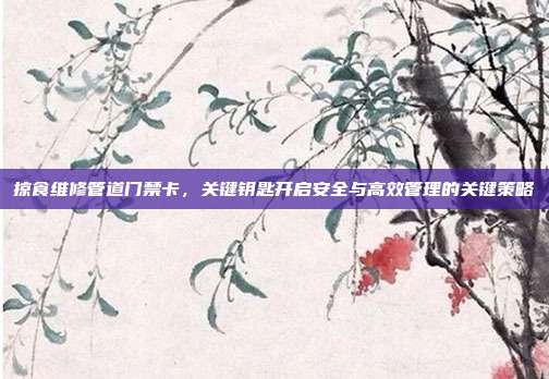 掠食维修管道门禁卡,关键钥匙开启安全与高效管理的关键策略