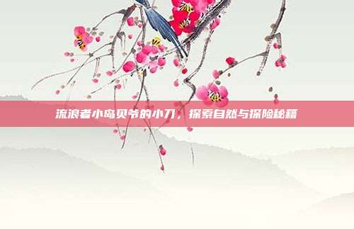 流浪者小岛贝爷的小刀,探索自然与探险秘籍