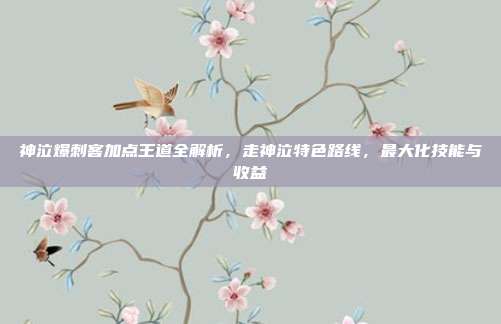 神泣爆刺客加点王道全解析,走神泣特色路线,最大化技能与收益