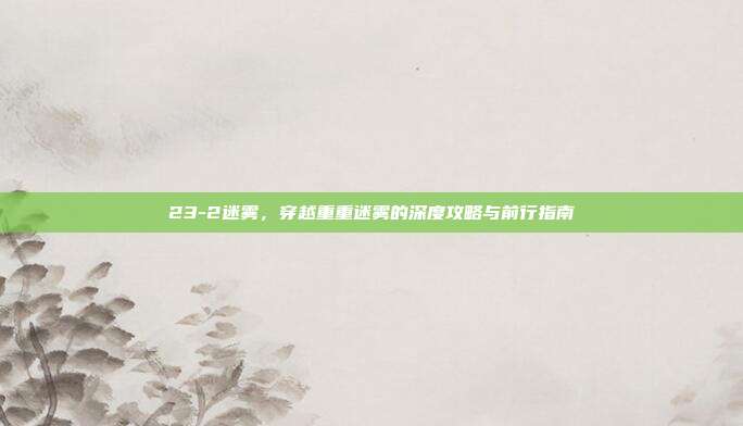 23-2迷雾,穿越重重迷雾的深度攻略与前行指南