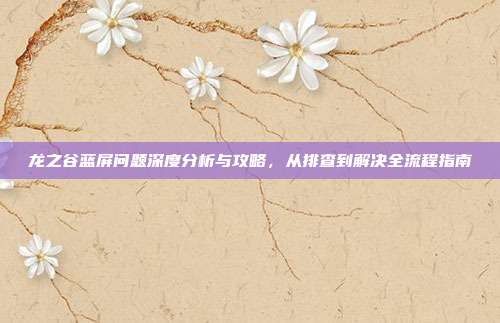 龙之谷蓝屏问题深度分析与攻略,从排查到解决全流程指南