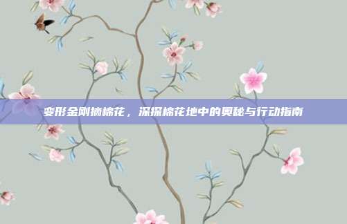 变形金刚摘棉花，深探棉花地中的奥秘与行动指南