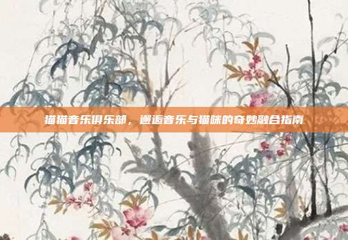 猫猫音乐俱乐部,邂逅音乐与猫咪的奇妙融合指南