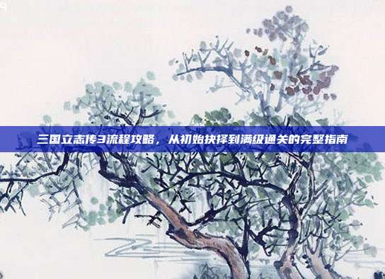 三国立志传3流程攻略，从初始抉择到满级通关的完整指南