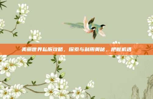 美丽世界私服攻略,探索与利用奥秘,把握机遇