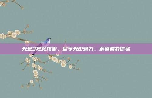 光晕3视频攻略,尽享光影魅力,解锁精彩体验