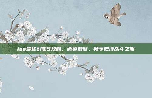 ios最终幻想5攻略,解锁潜能,畅享史诗战斗之旅