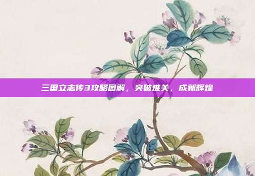 三国立志传3攻略图解，突破难关，成就辉煌
