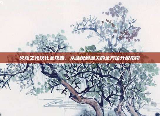 火炬之光汉化全攻略,从适配到通关的全方位升级指南