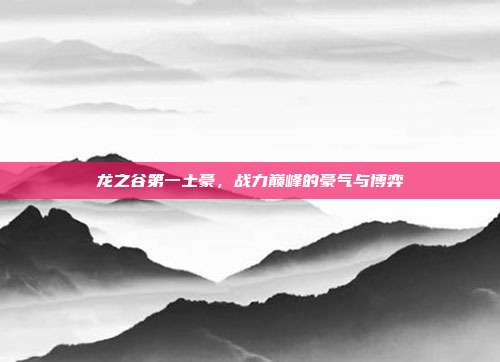 龙之谷第一土豪，战力巅峰的豪气与博弈