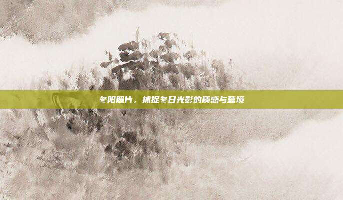 冬阳照片,捕捉冬日光影的质感与意境