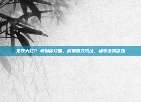 无双大蛇2 特别版攻略，解锁多元玩法，畅享激爽体验