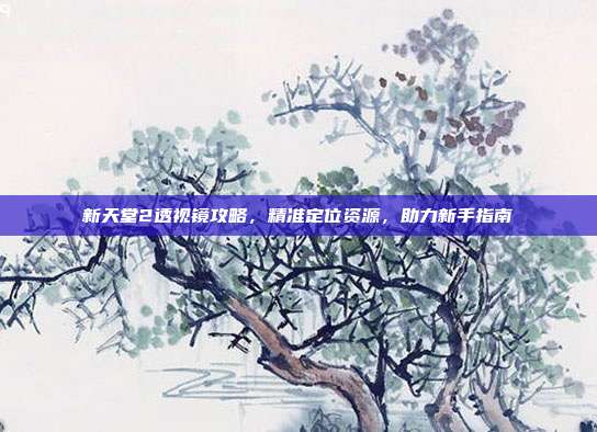 新天堂2透视镜攻略,精准定位资源,助力新手指南