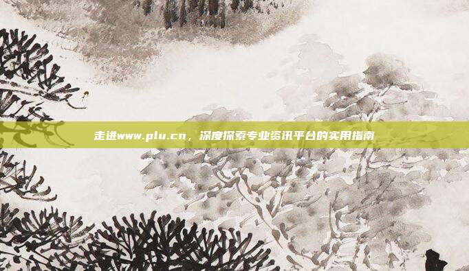 走进www.plu.cn,深度探索专业资讯平台的实用指南