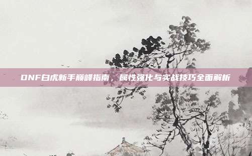 DNF白虎新手巅峰指南,属性强化与实战技巧全面解析