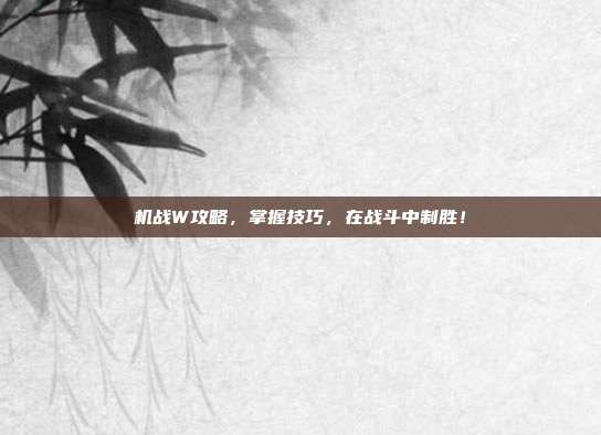 机战W攻略,掌握技巧,在战斗中制胜!