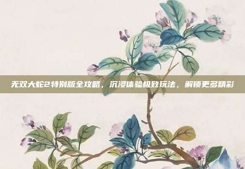 无双大蛇2特别版全攻略,沉浸体验极致玩法,解锁更多精彩