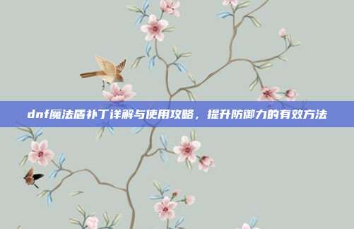 dnf魔法盾补丁详解与使用攻略，提升防御力的有效方法