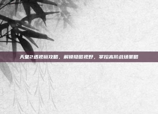 天堂2透视镜攻略,解锁隐匿视野,掌控高阶战场策略