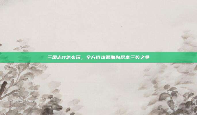 三国志11怎么玩，全方位攻略助你尽享三势之争