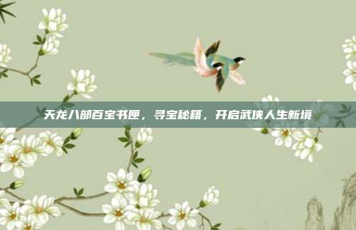天龙八部百宝书匣，寻宝秘籍，开启武侠人生新境
