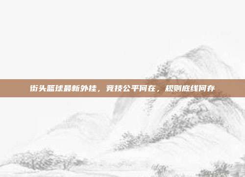 街头篮球最新外挂,竞技公平何在,规则底线何存