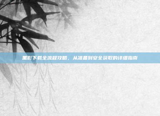 黑影下载全流程攻略,从准备到安全获取的详细指南