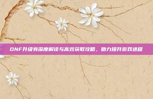 DNF升级券深度解读与高效获取攻略,助力提升游戏进程