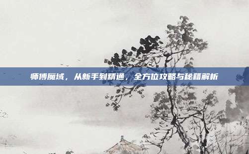 师傅魔域,从新手到精通,全方位攻略与秘籍解析