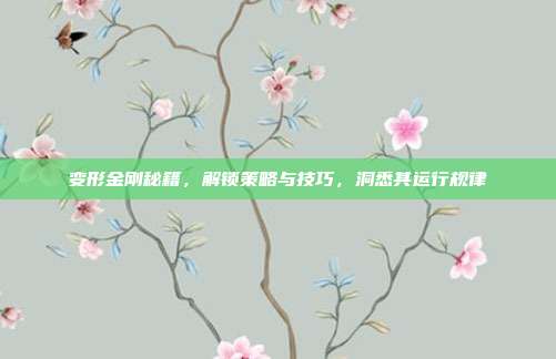 变形金刚秘籍,解锁策略与技巧,洞悉其运行规律