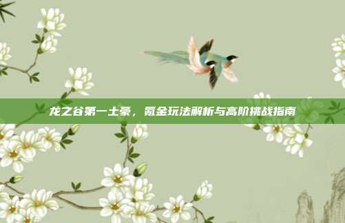 龙之谷第一土豪,氪金玩法解析与高阶挑战指南