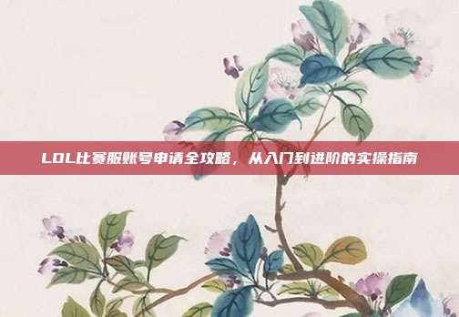 LOL比赛服账号申请全攻略,从入门到进阶的实操指南