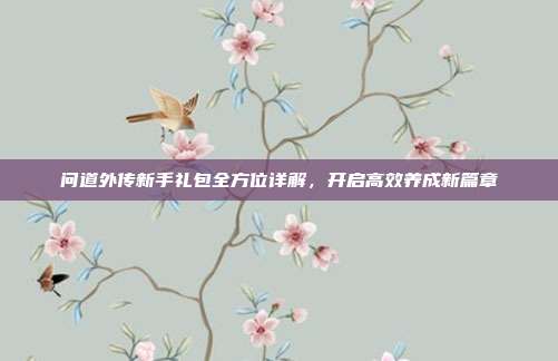 问道外传新手礼包全方位详解,开启高效养成新篇章