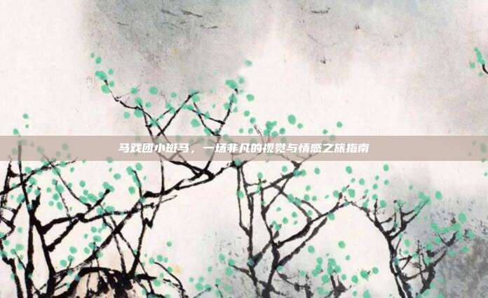 马戏团小斑马，一场非凡的视觉与情感之旅指南
