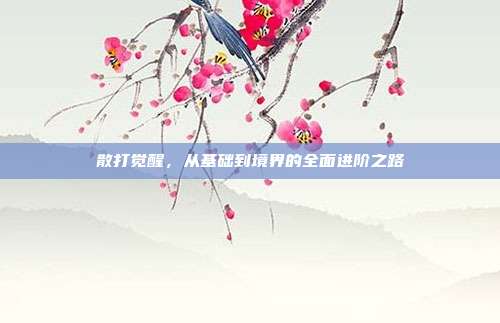 散打觉醒,从基础到境界的全面进阶之路