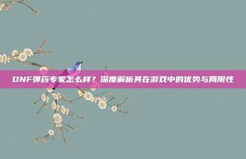 DNF弹药专家怎么样?深度解析其在游戏中的优势与局限性
