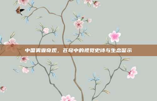 中国雾霾奇观，苍穹中的视觉史诗与生态警示