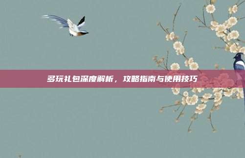 多玩礼包深度解析,攻略指南与使用技巧