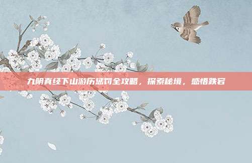 九阴真经下山游历惩罚全攻略,探索秘境,感悟跌宕